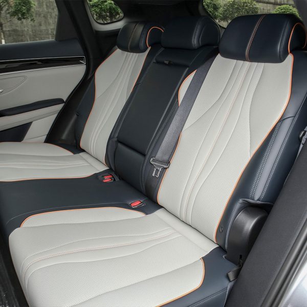BYD Song PLUS DMI