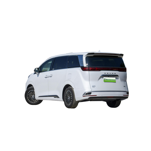 Denza D9