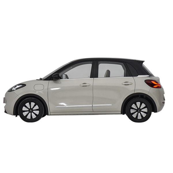 Wuling Bingo