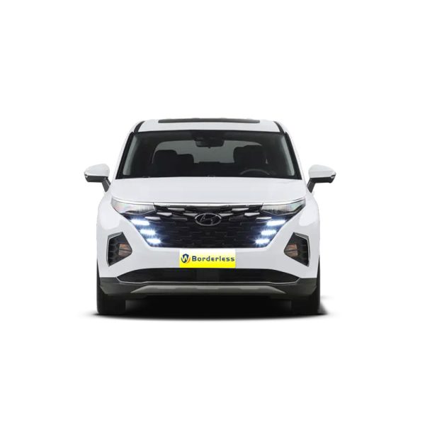 hyundai custo