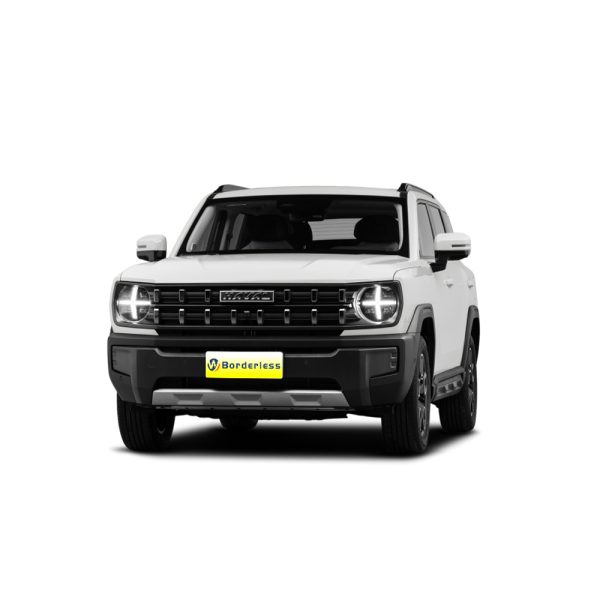 haval x dog
