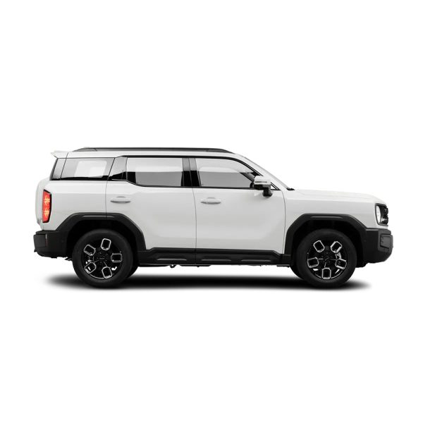 haval x dog