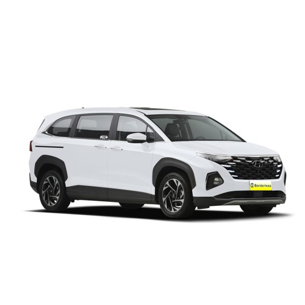 hyundai custo