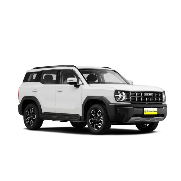 haval x dog