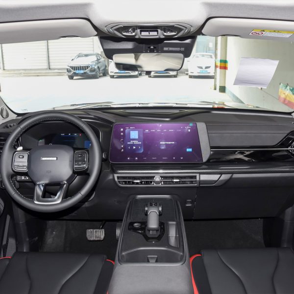 haval x dog interior