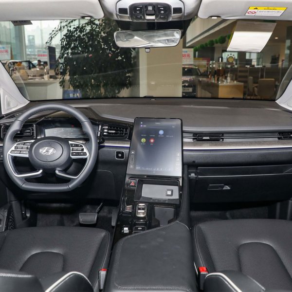 hyundai custo interior