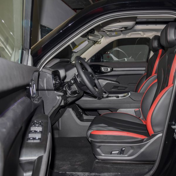 haval x dog interior