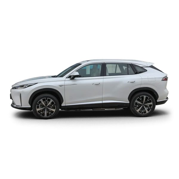 roewe D5X DMH